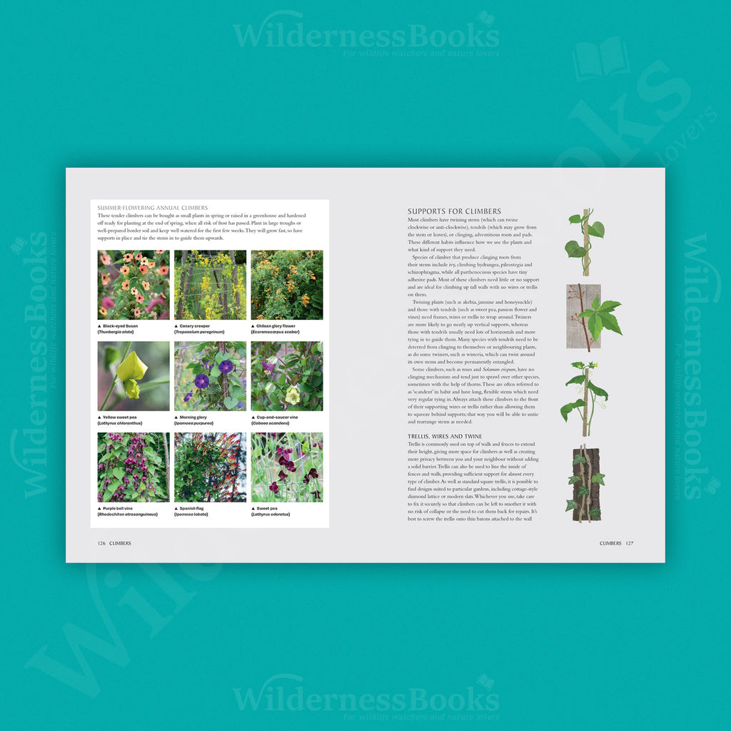 National Trust School of Gardening