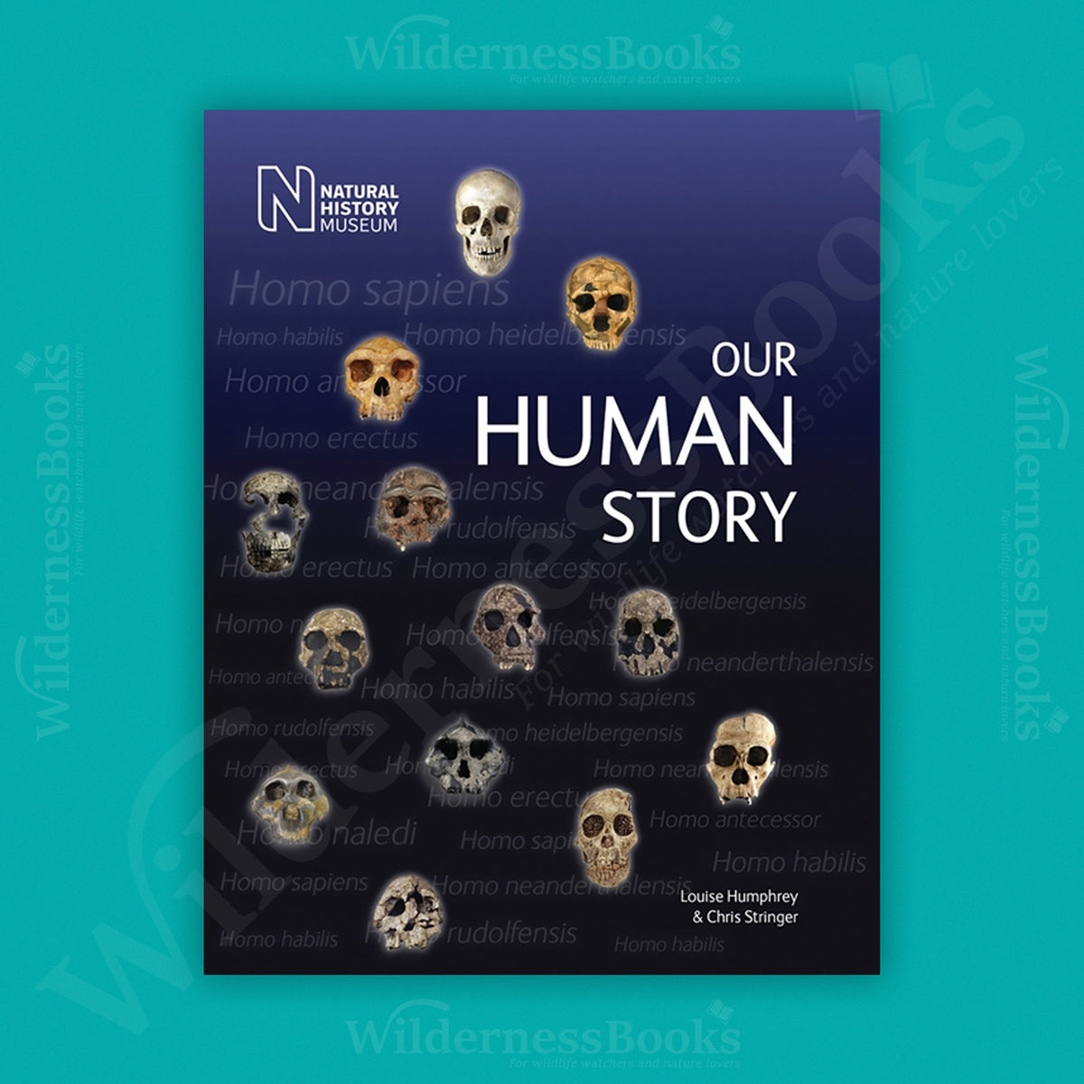Our Human Story: Where We Come From and How We Evolved