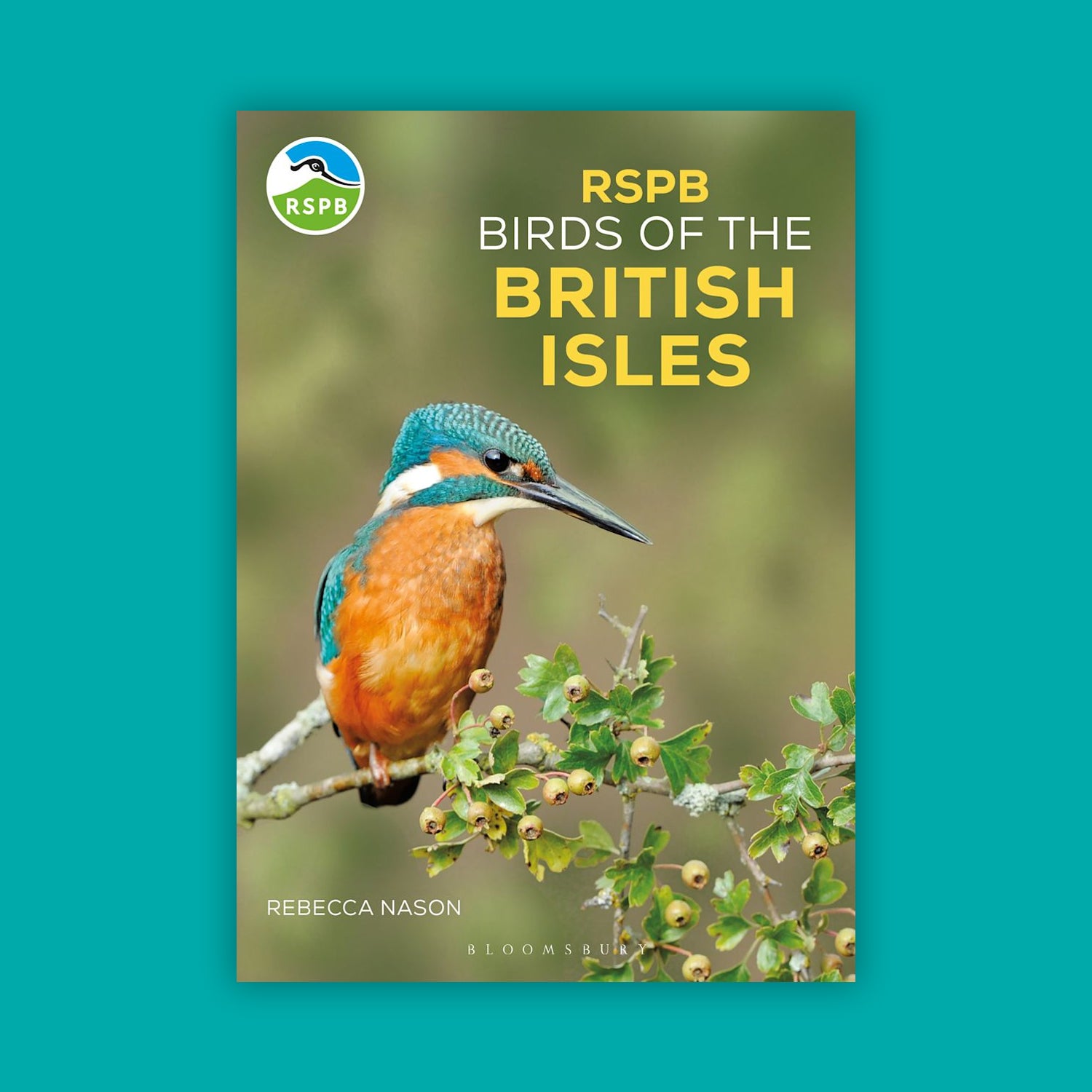 RSPB Birds of the British Isles (1st Edition)