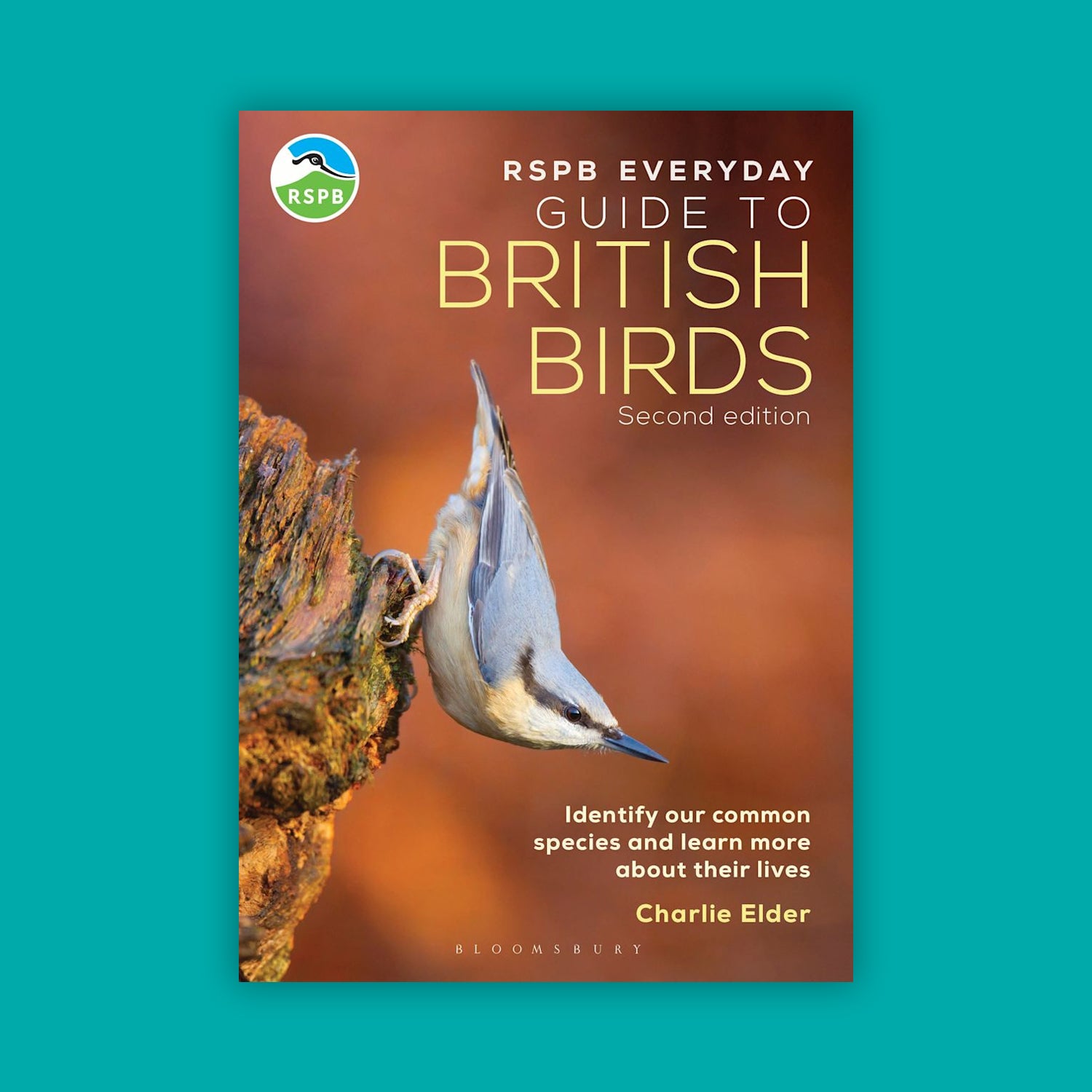 RSPB Everyday Guide to British Birds (2nd Edition)