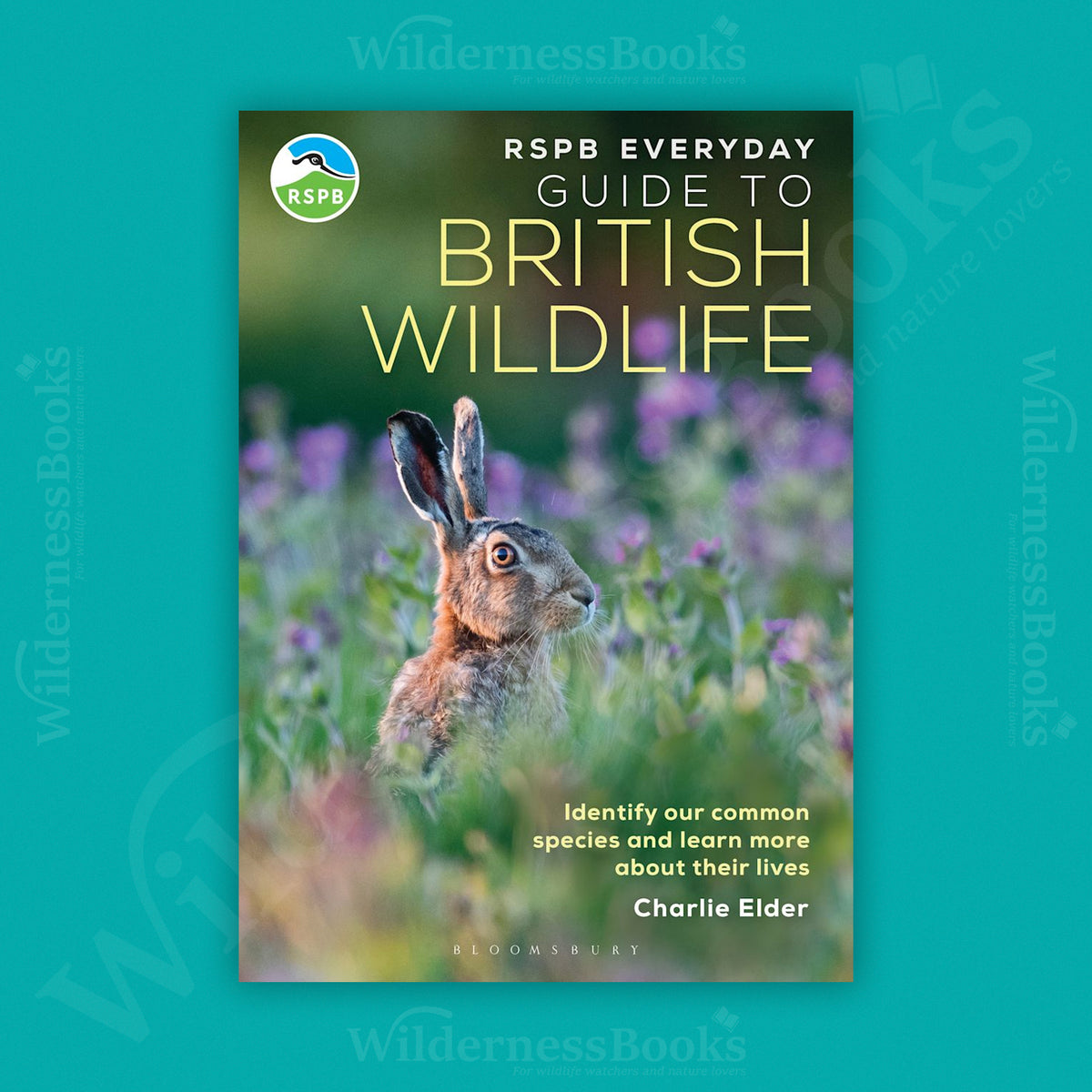 RSPB Everyday Guide to British Wildlife (1st Edition)