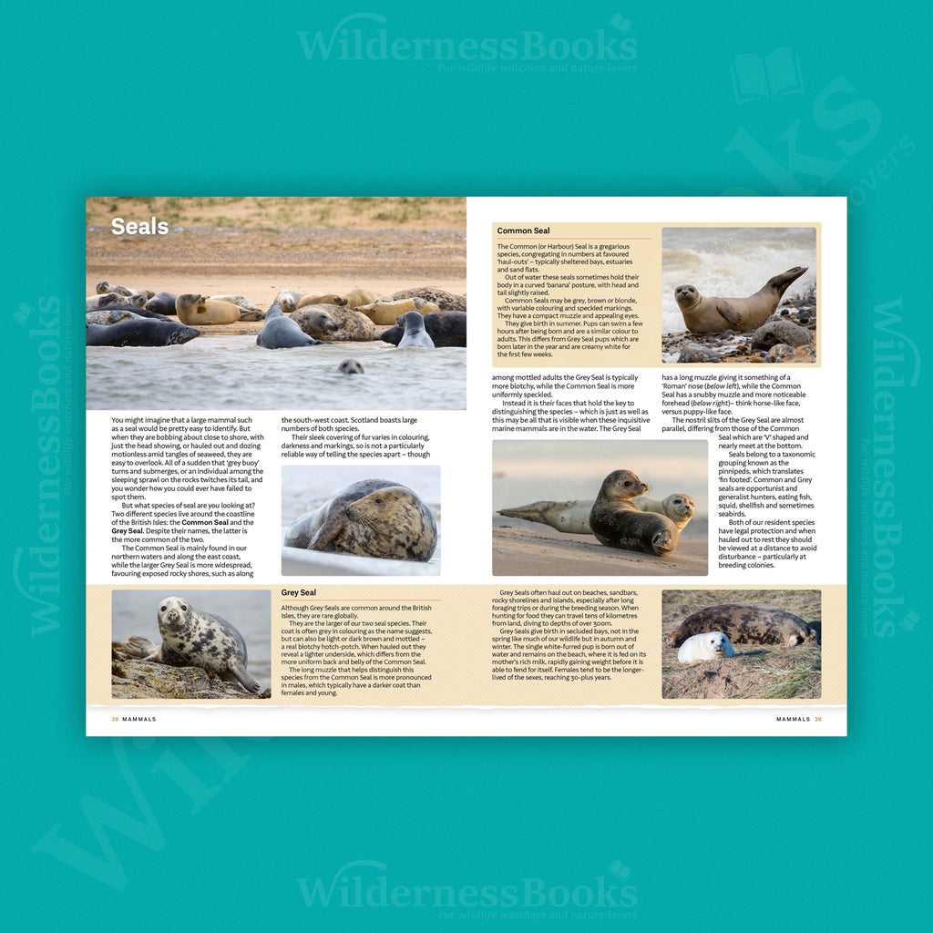 RSPB Everyday Guide to British Wildlife (1st Edition)