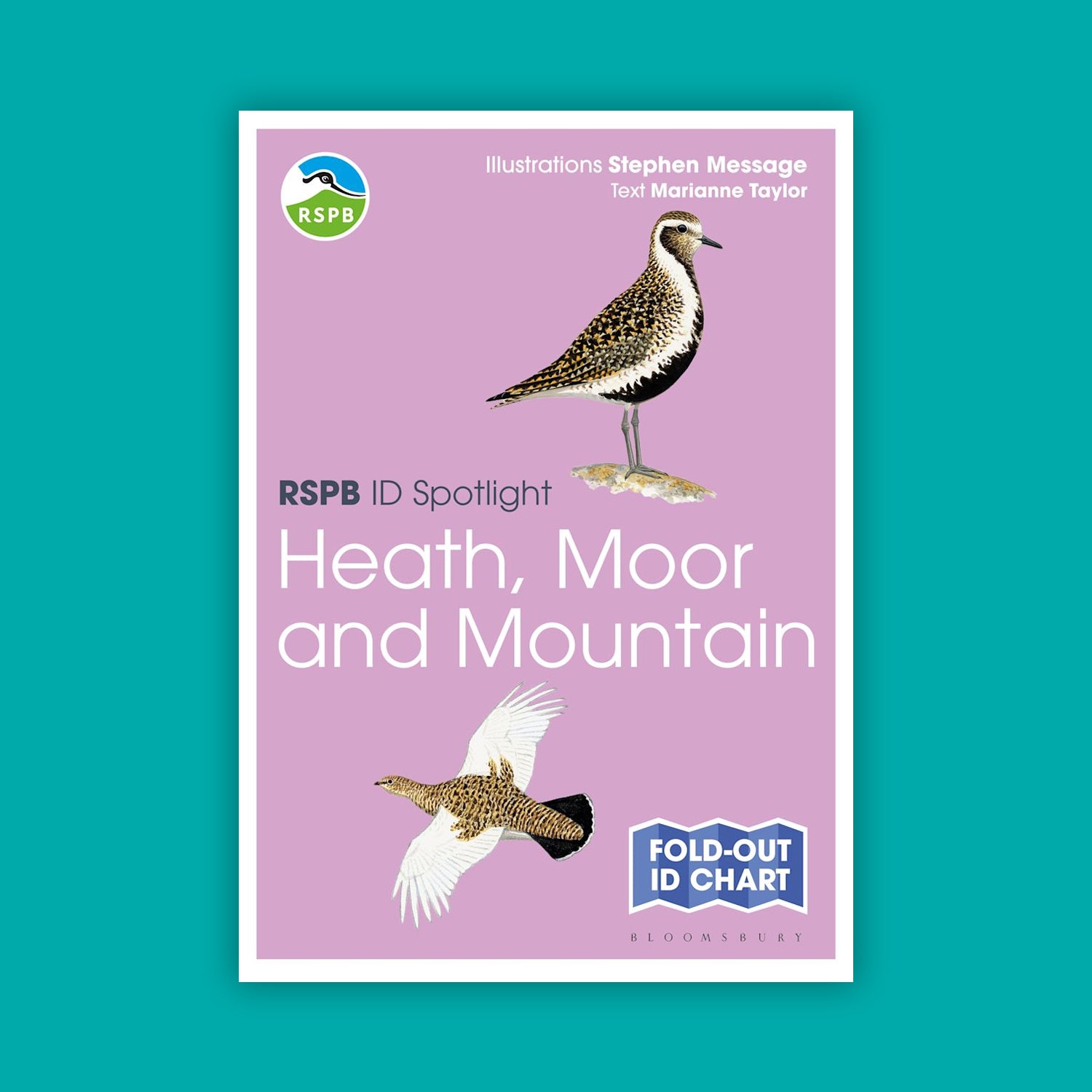 RSPB ID Spotlight - Birds of Heath, Moor and Mountain