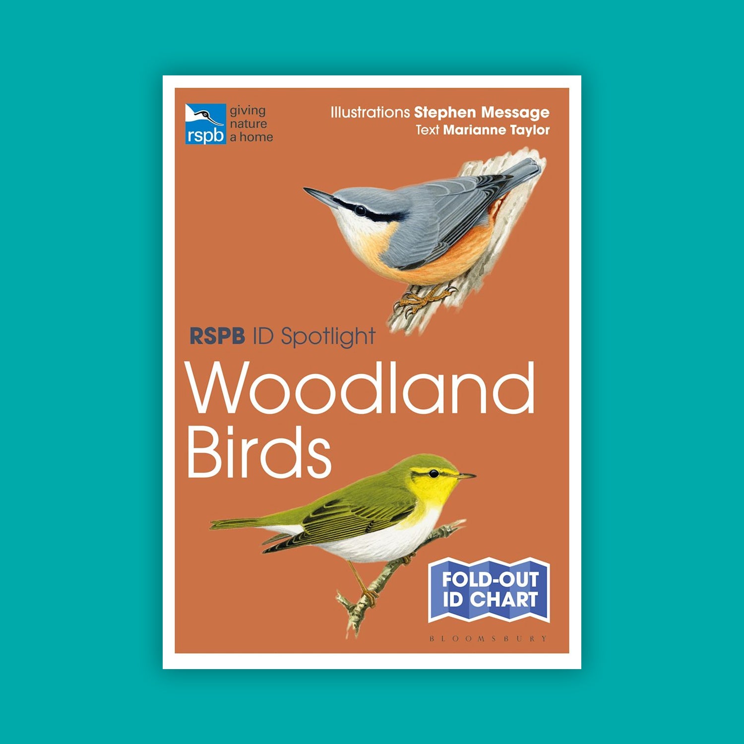 RSPB ID Spotlight - Woodland Birds
