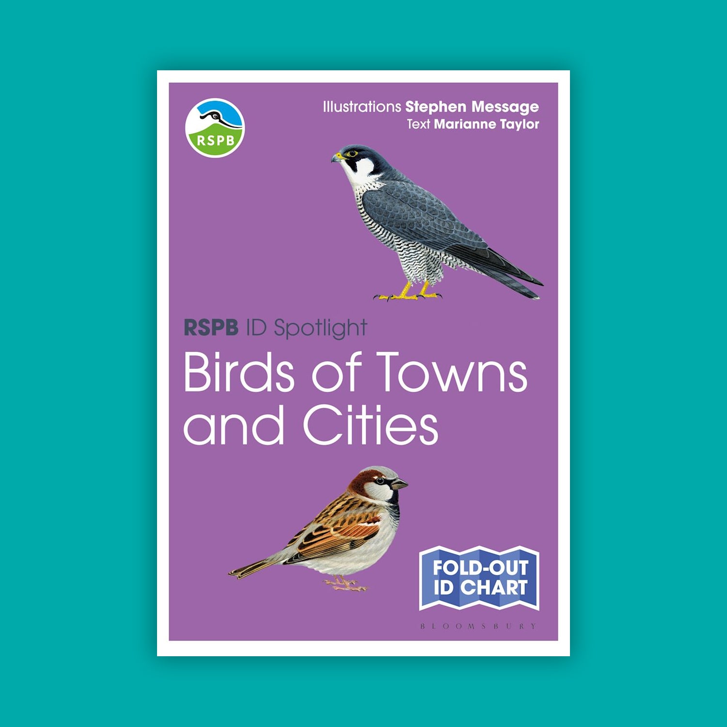RSPB ID Spotlight Birds Bundle