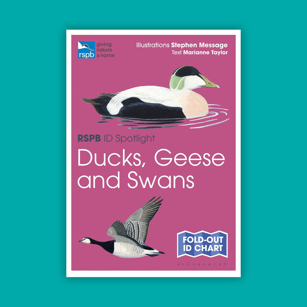 RSPB ID Spotlight Birds Bundle