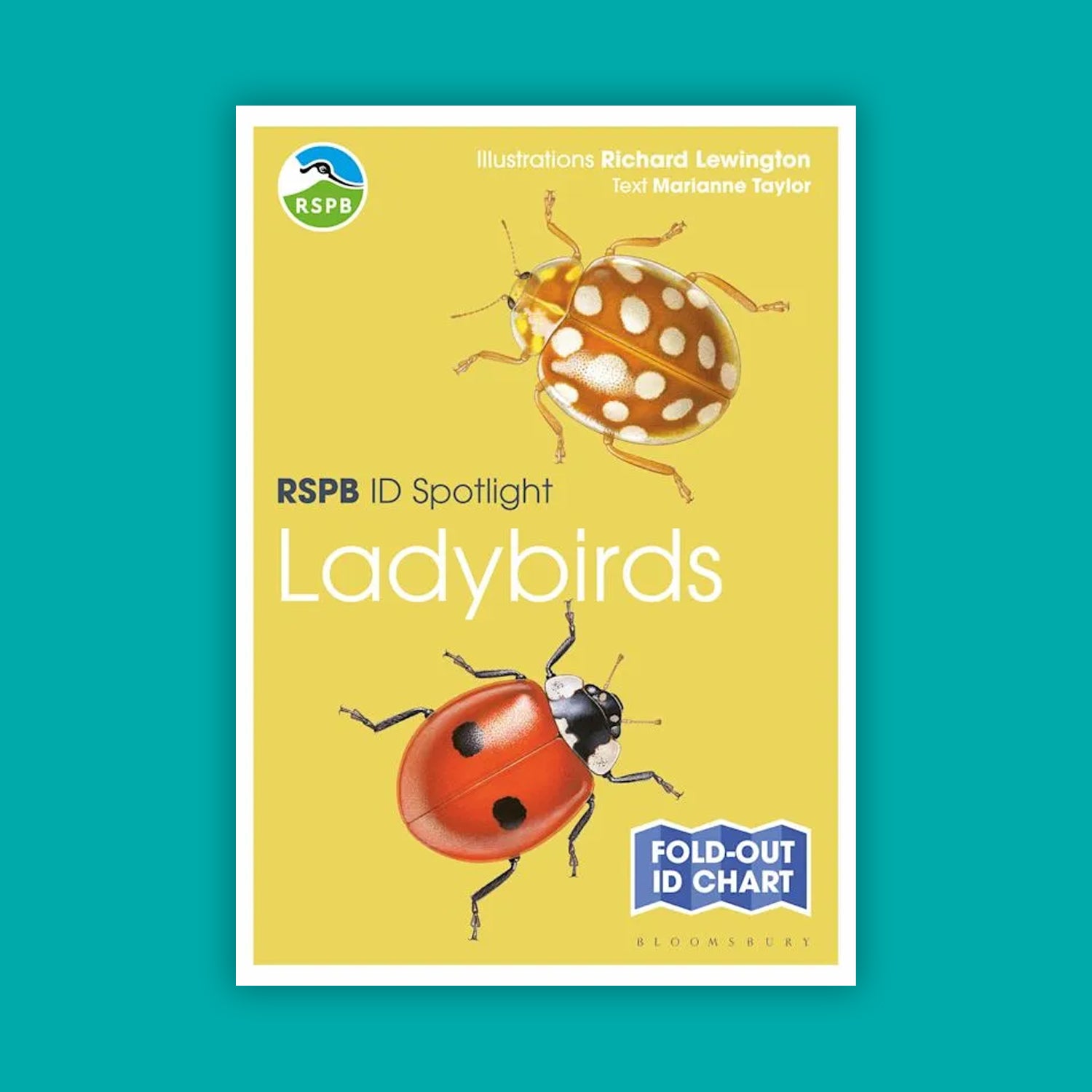 RSPB ID Spotlight - Ladybirds