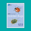 RSPB ID Spotlight - Garden Bugs