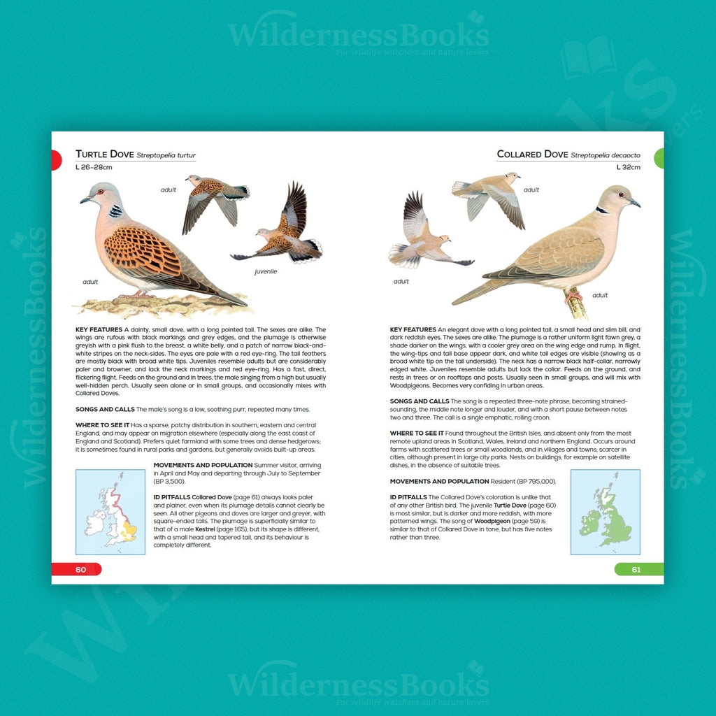 RSPB Pocket Guide to British Birds