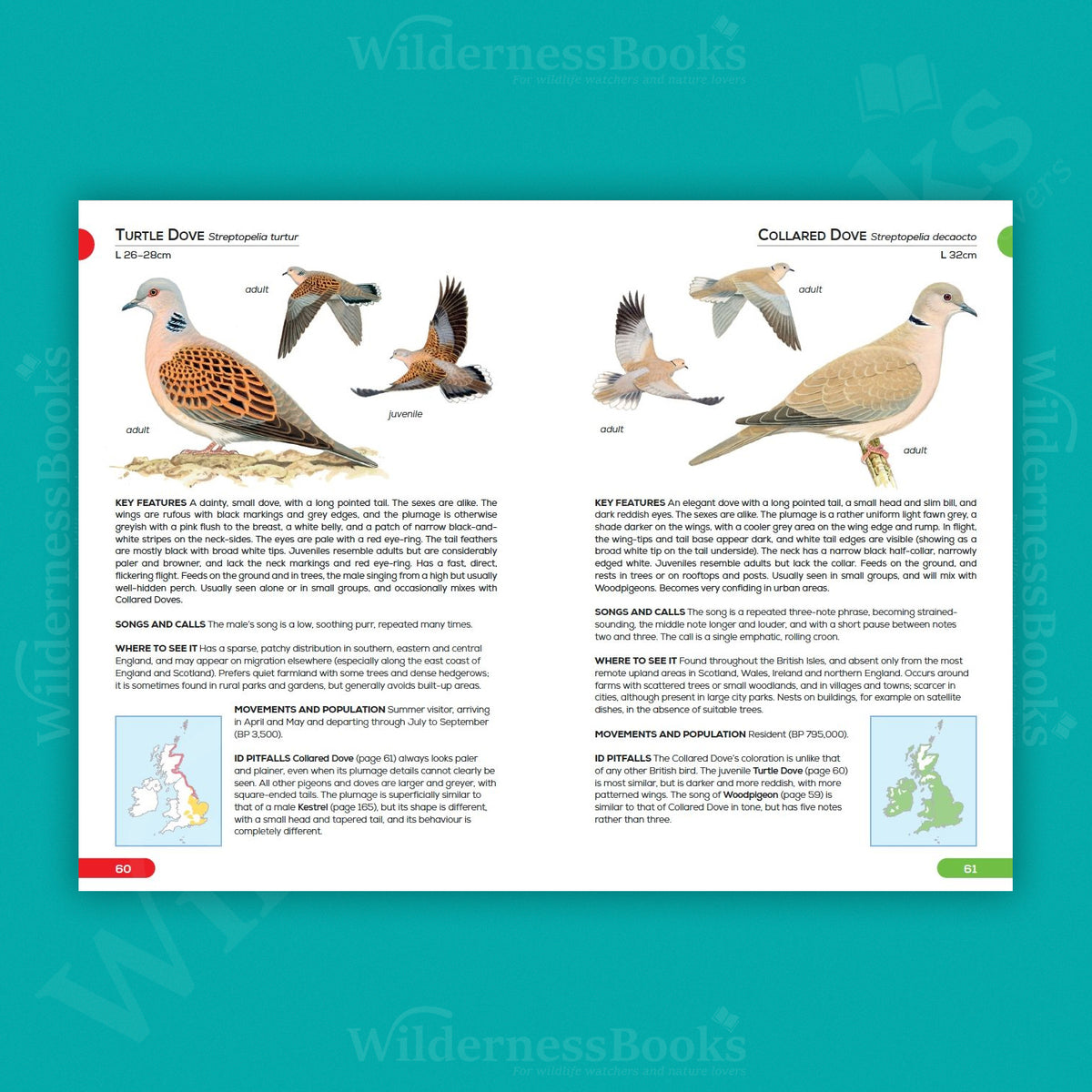 RSPB Pocket Guide to British Birds