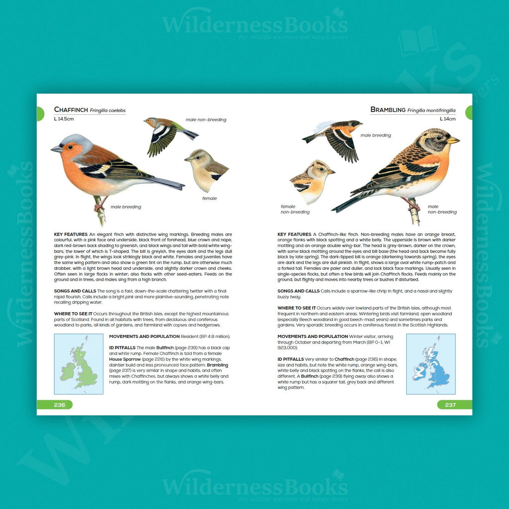 RSPB Pocket Guide to British Birds