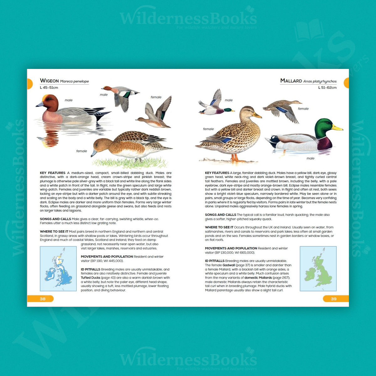 RSPB Pocket Guide to British Birds