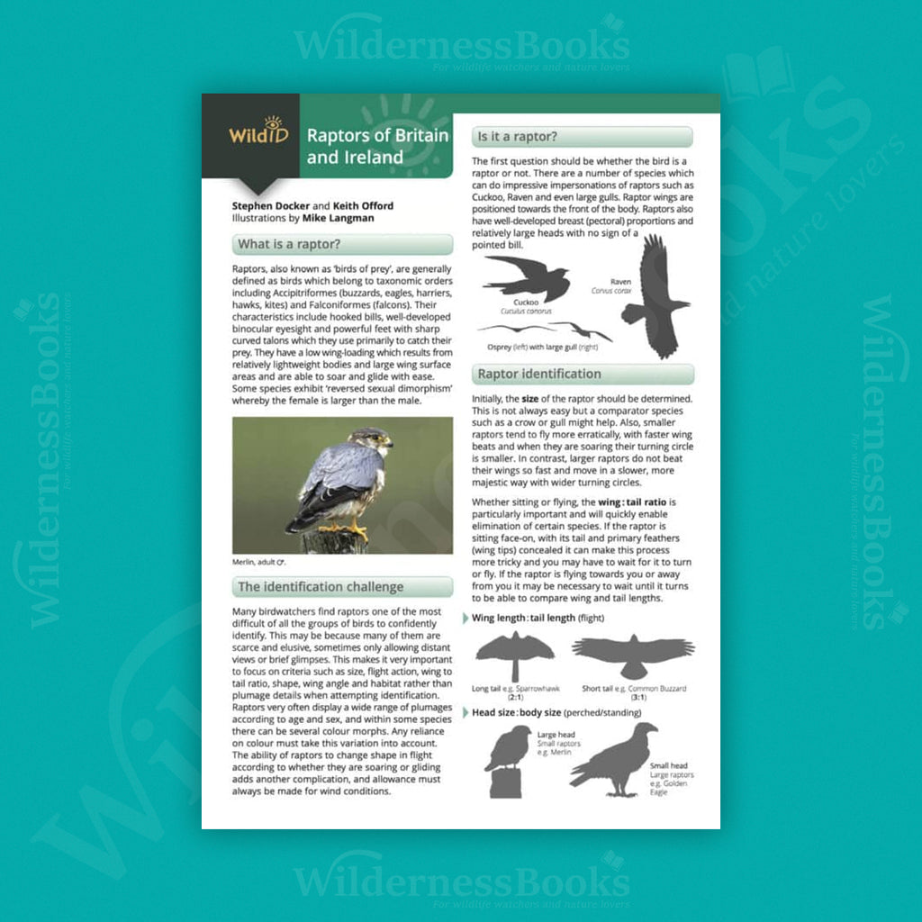 Raptors of Britain and Ireland WildID guide (OP230)