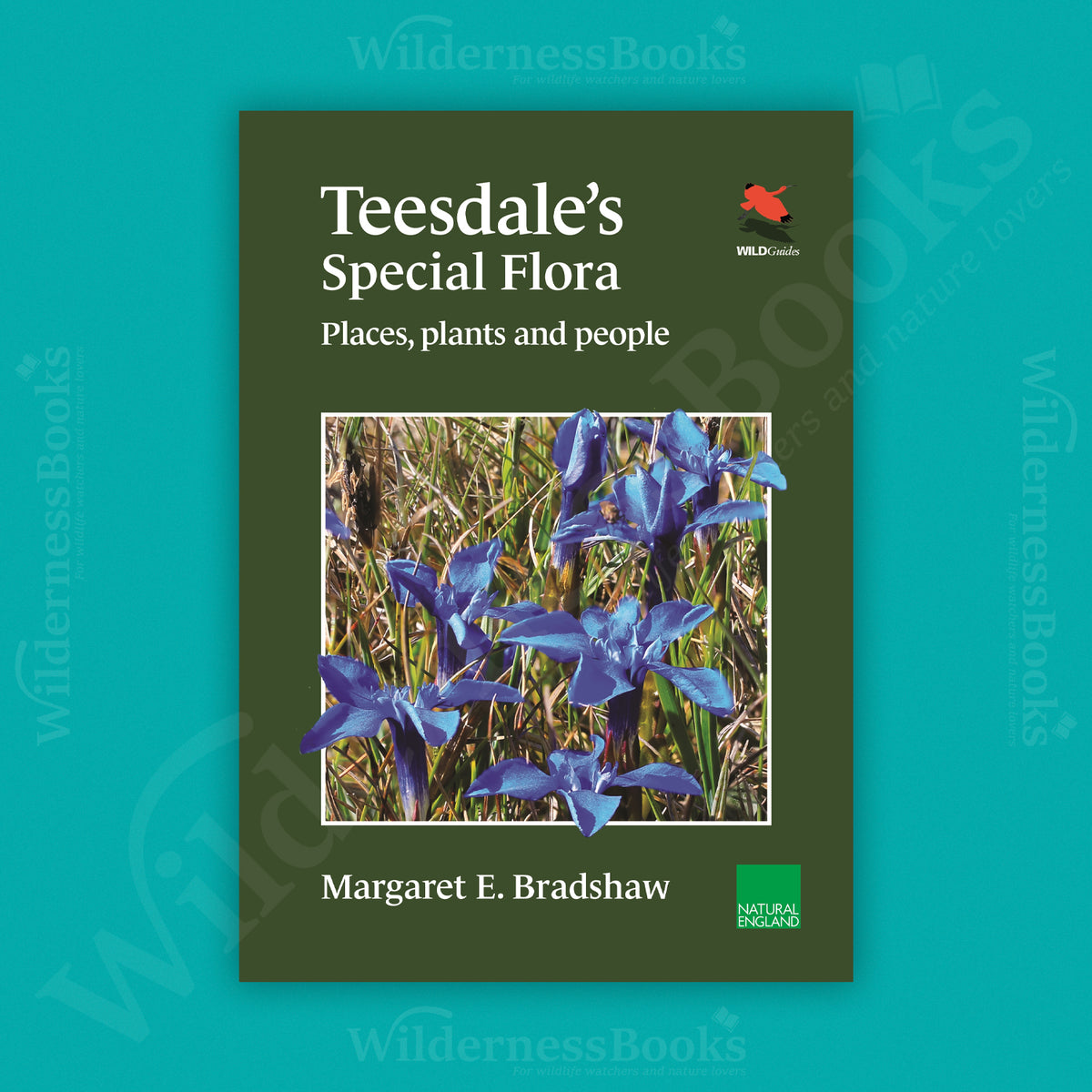 Teesdale's Special Flora: Places, Plants and People