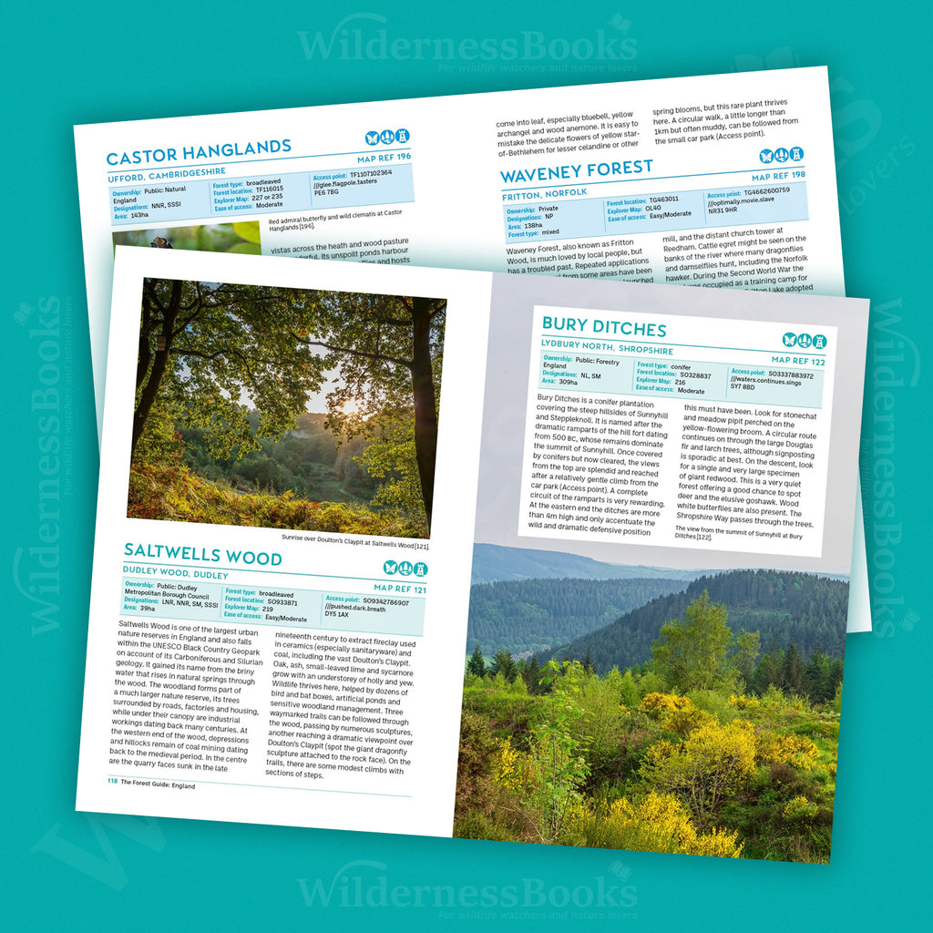 The Forest Guide: England. Copses, Woods and Forests of England