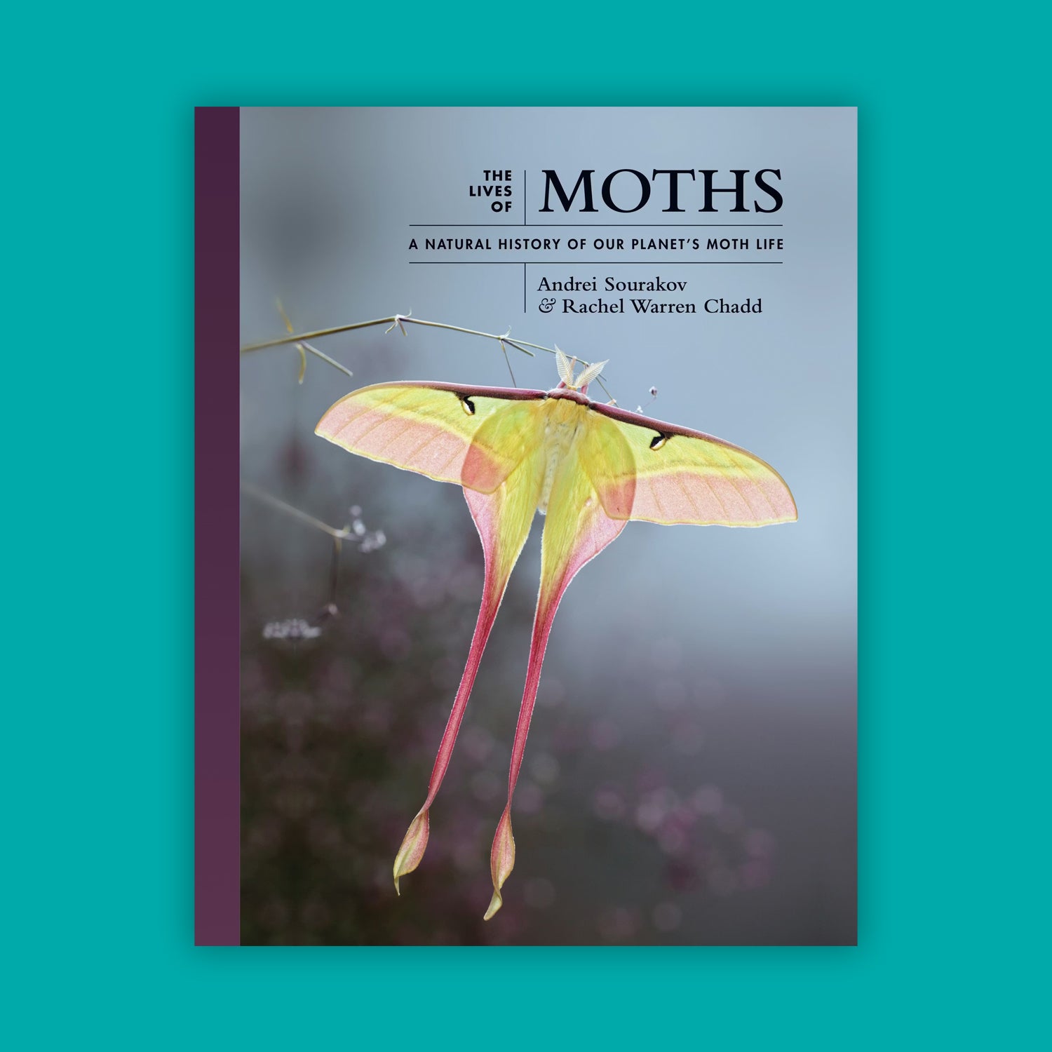 The Lives of Moths: A Natural History of Our Planet's Moth Life