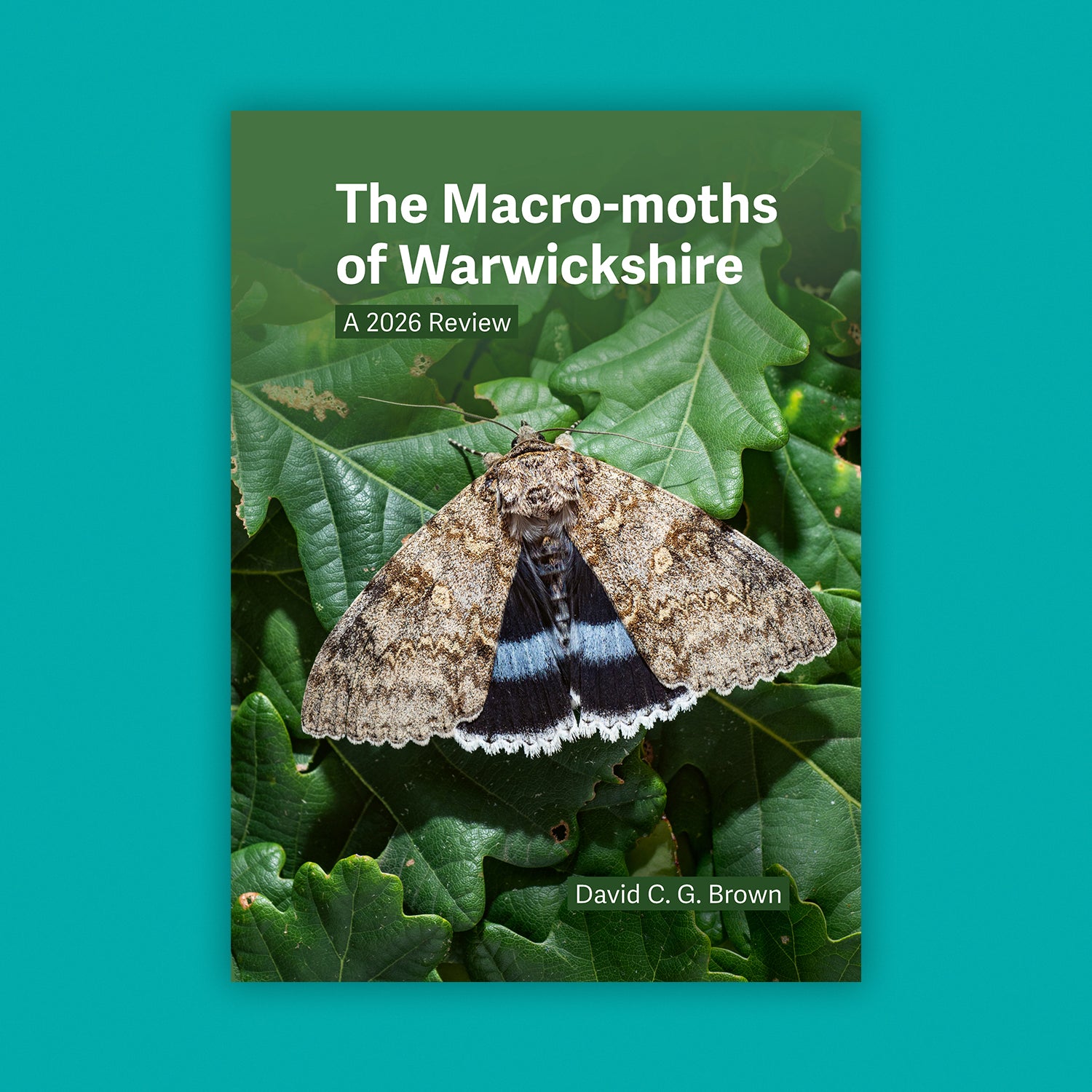 The Macro-moths of Warwickshire: A 2026 Review