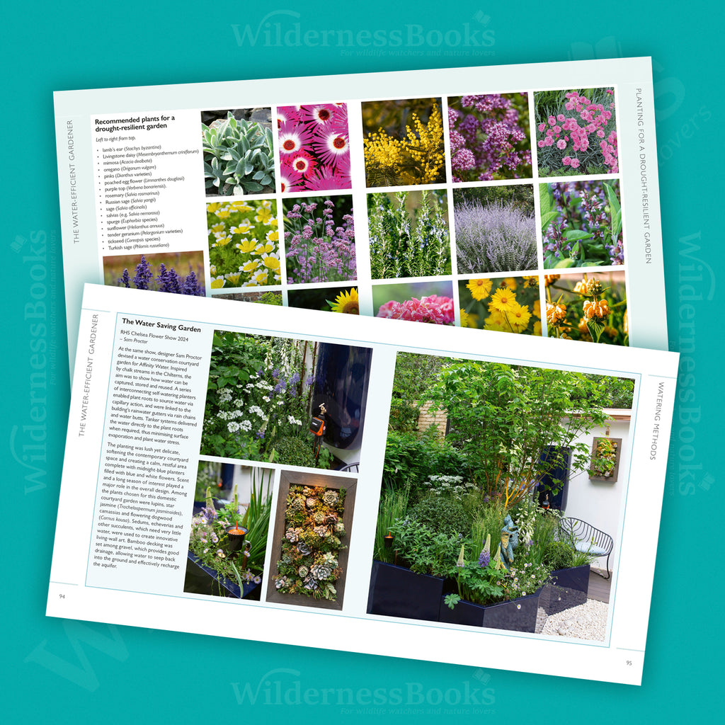 The Water-Efficient Gardener: Sustainable techniques for growing in a changing climate