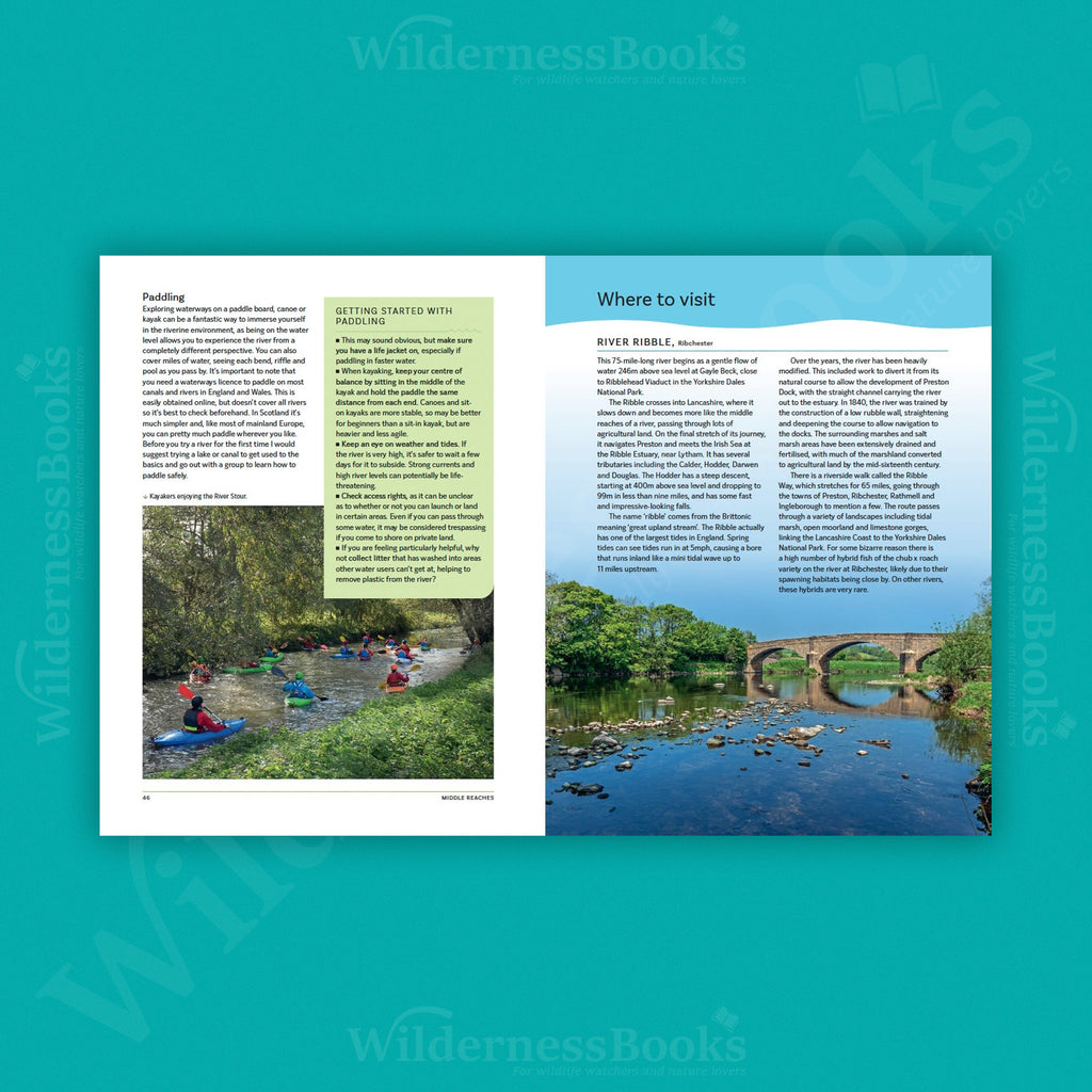 The Great British River: A guide to our waterways and river wildlife