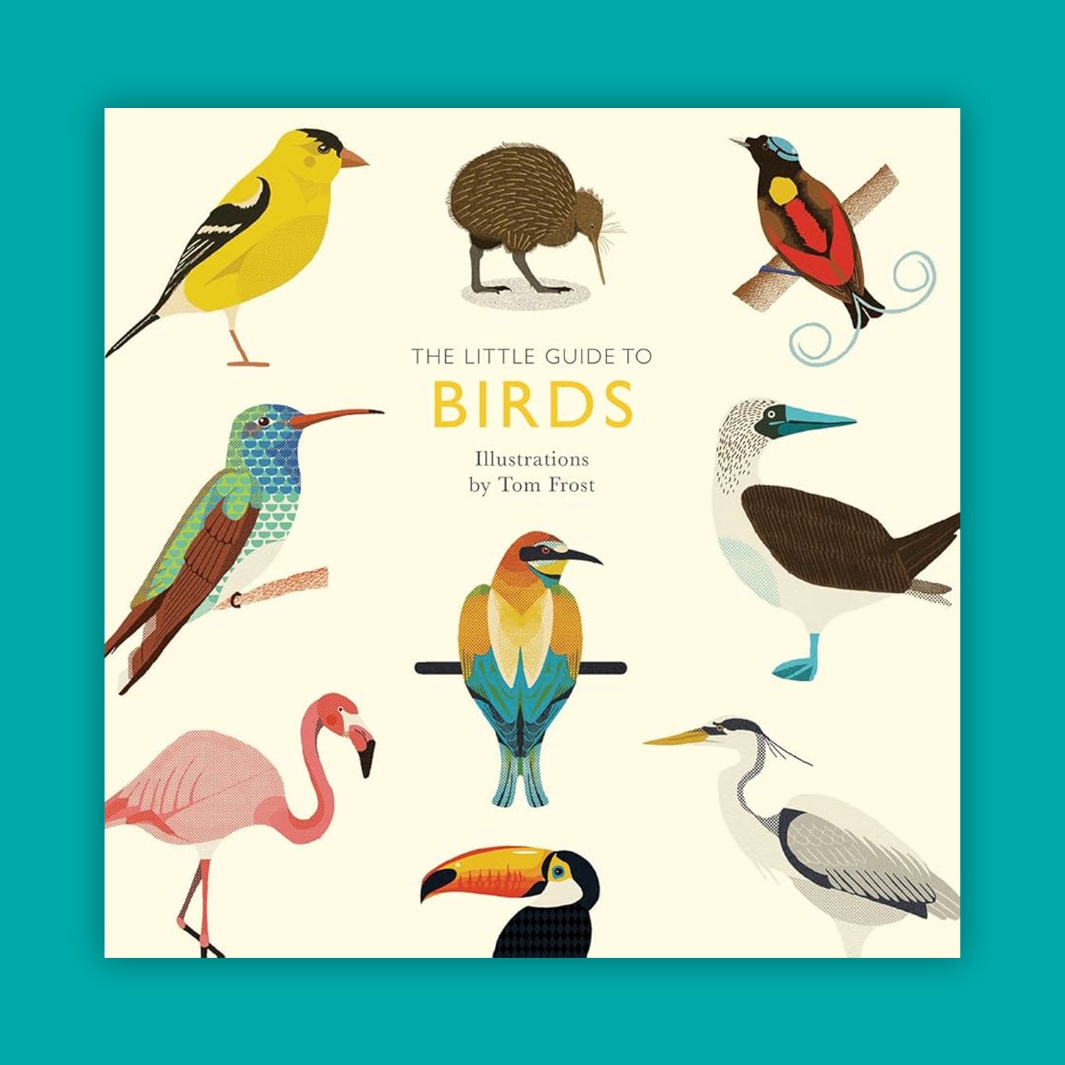 The Little Guide to Birds