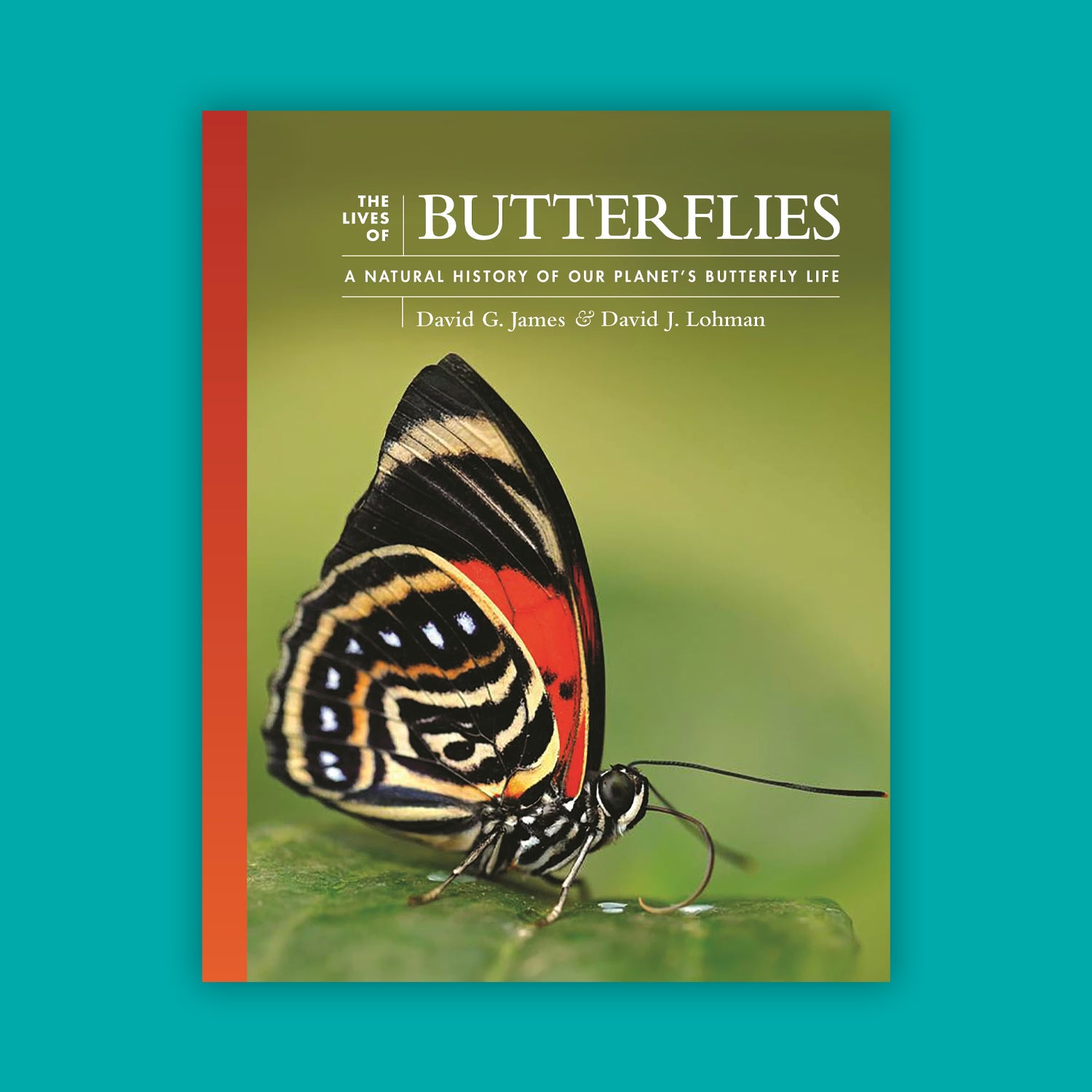The Lives of Butterflies: A Natural History of Our Planet's Butterfly Life