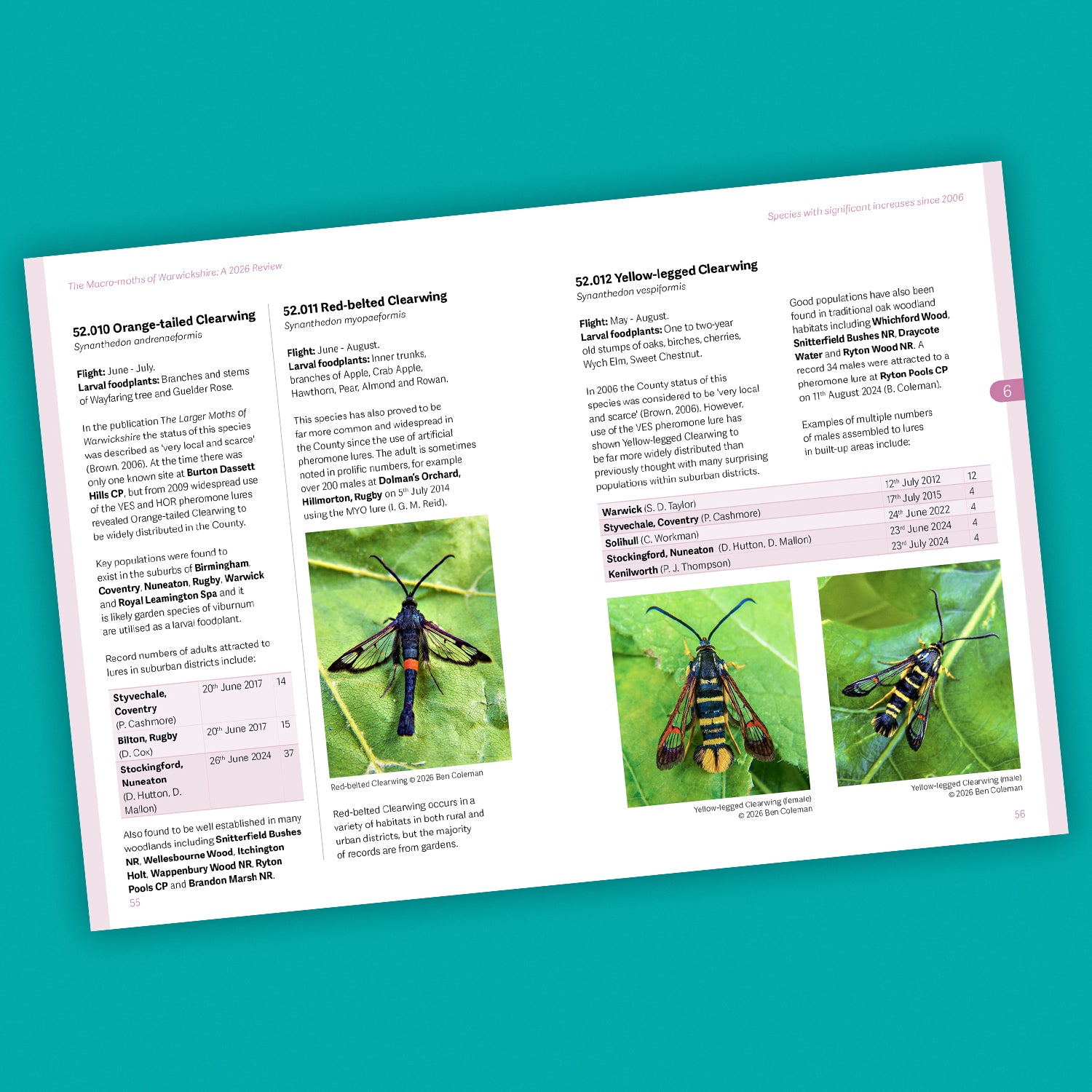 The Macro-moths of Warwickshire: A 2026 Review