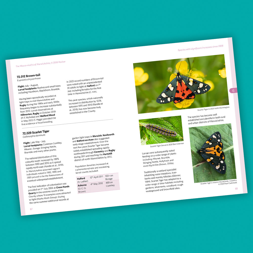 The Macro-moths of Warwickshire: A 2026 Review