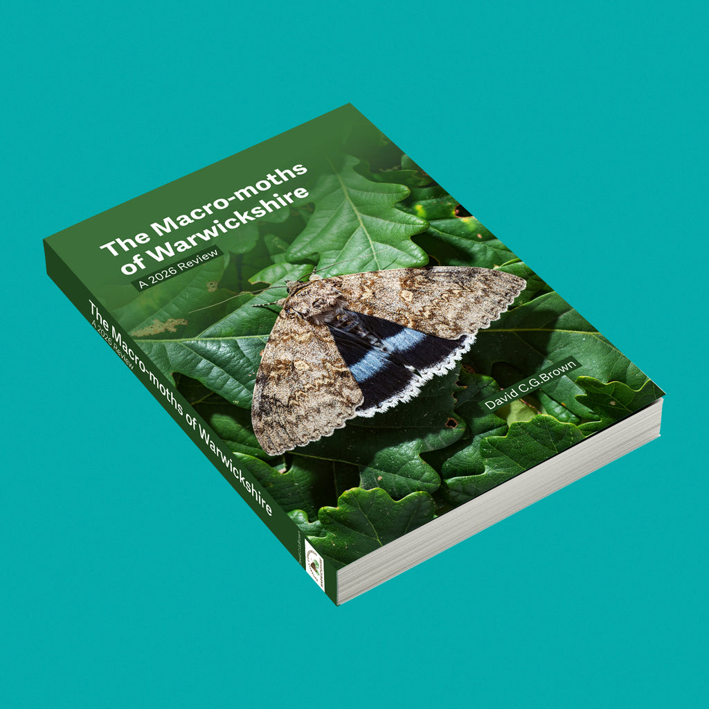 The Macro-moths of Warwickshire: A 2026 Review