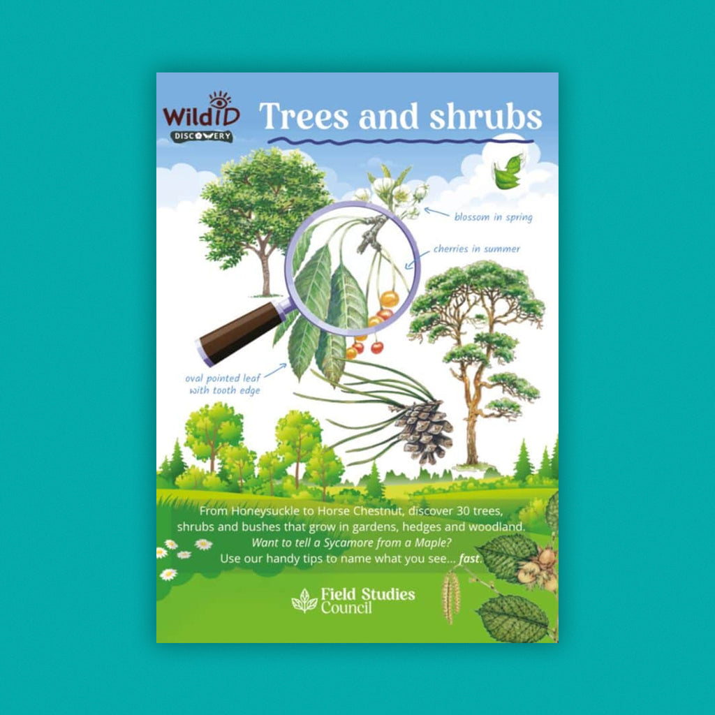 WildID Discovery Guides: Trees and Shrubs (FSC) DG02
