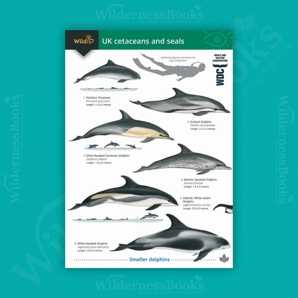 UK Cetaceans and Seals WildID guide (OP155)