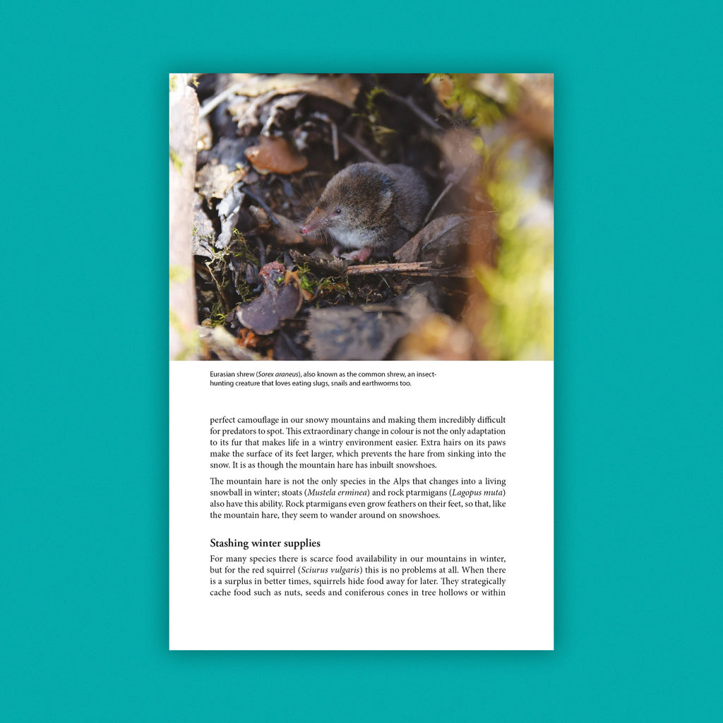 Wild Alps: The Natural History of Europe’s High Mountains  (PRE-ORDER) - DUE TO BE PUBLISHED 17/11/2026
