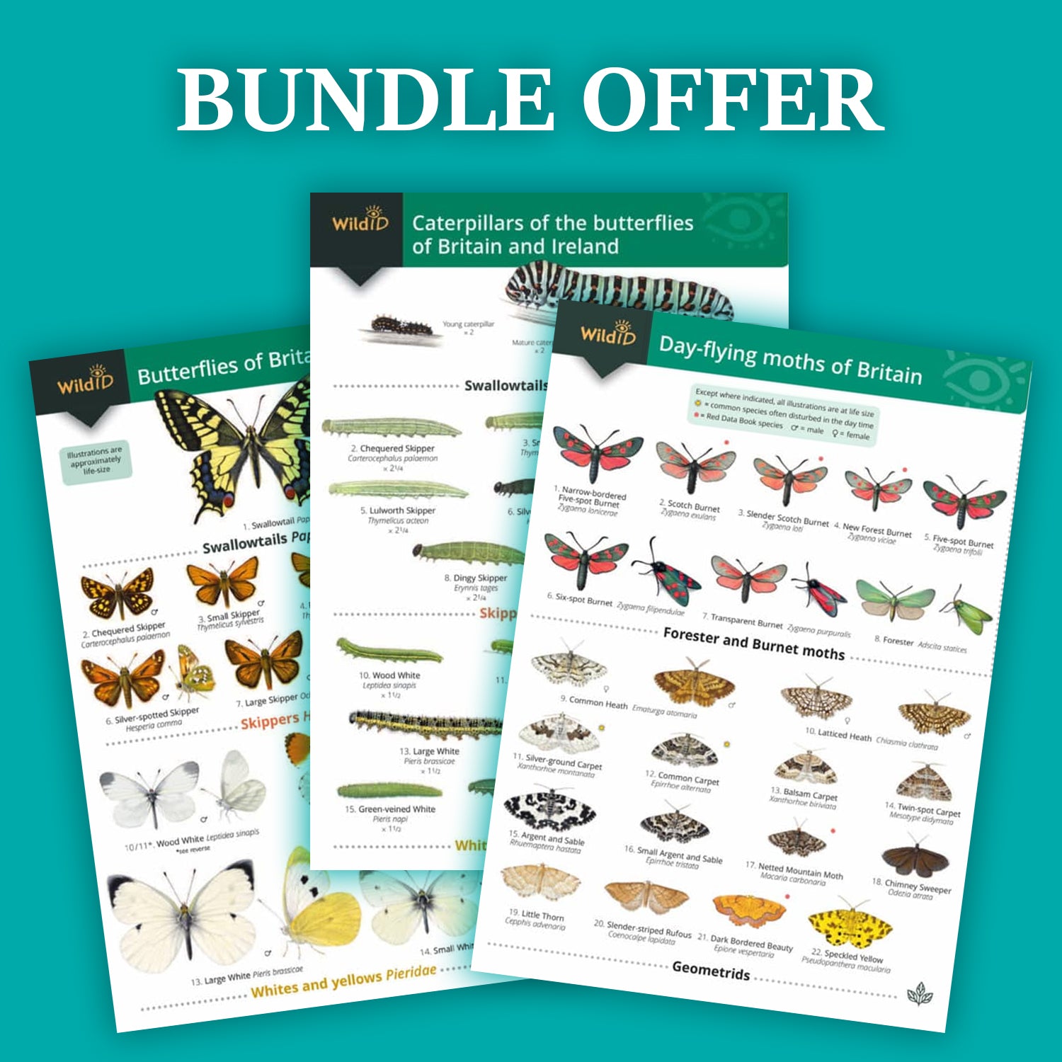 WildID Butterfly and Day-flying Moth Bundle