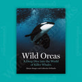Wild Orcas: A Deep Dive into the World of Killer Whales
