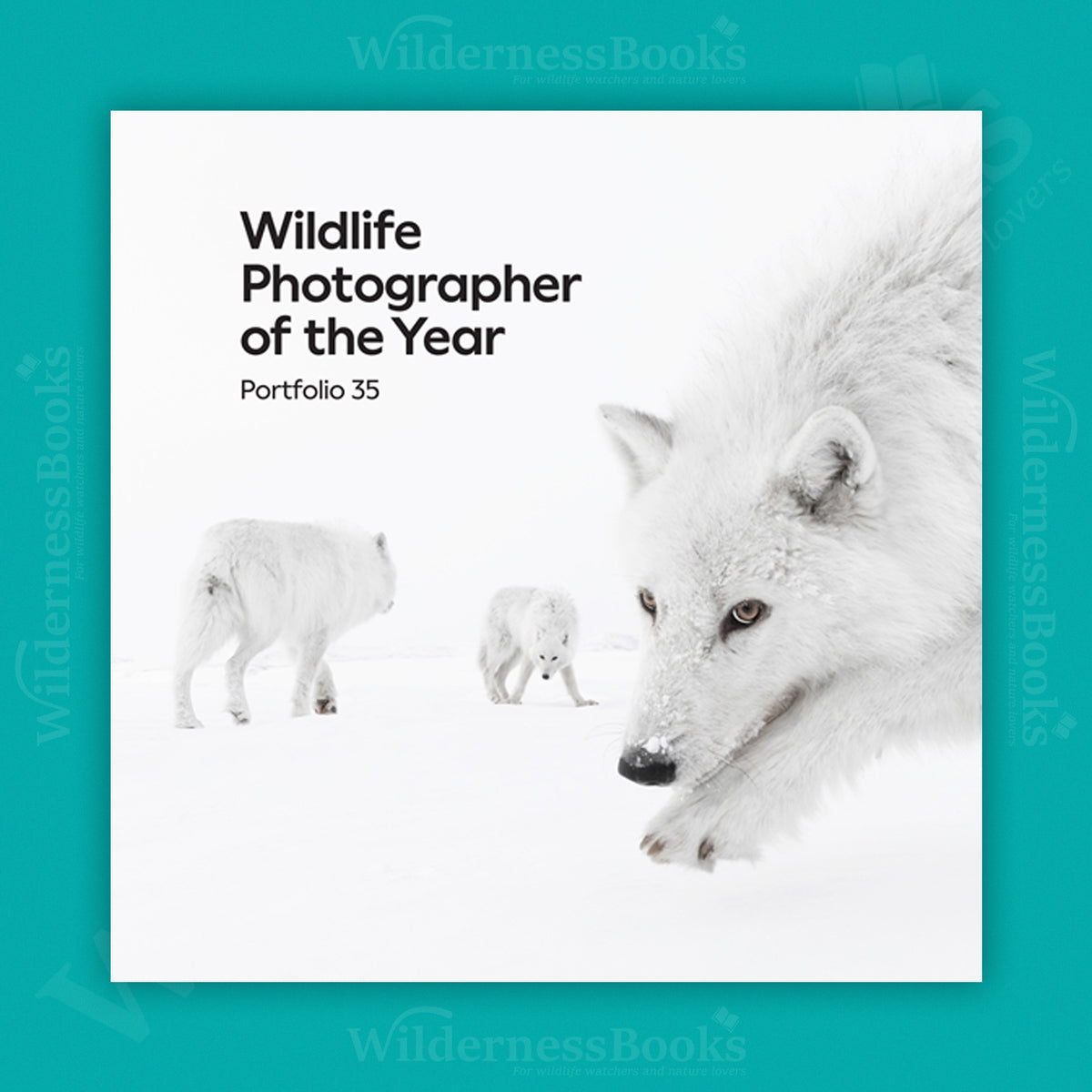 Wildlife Photographer of the Year (2025): Portfolio 35