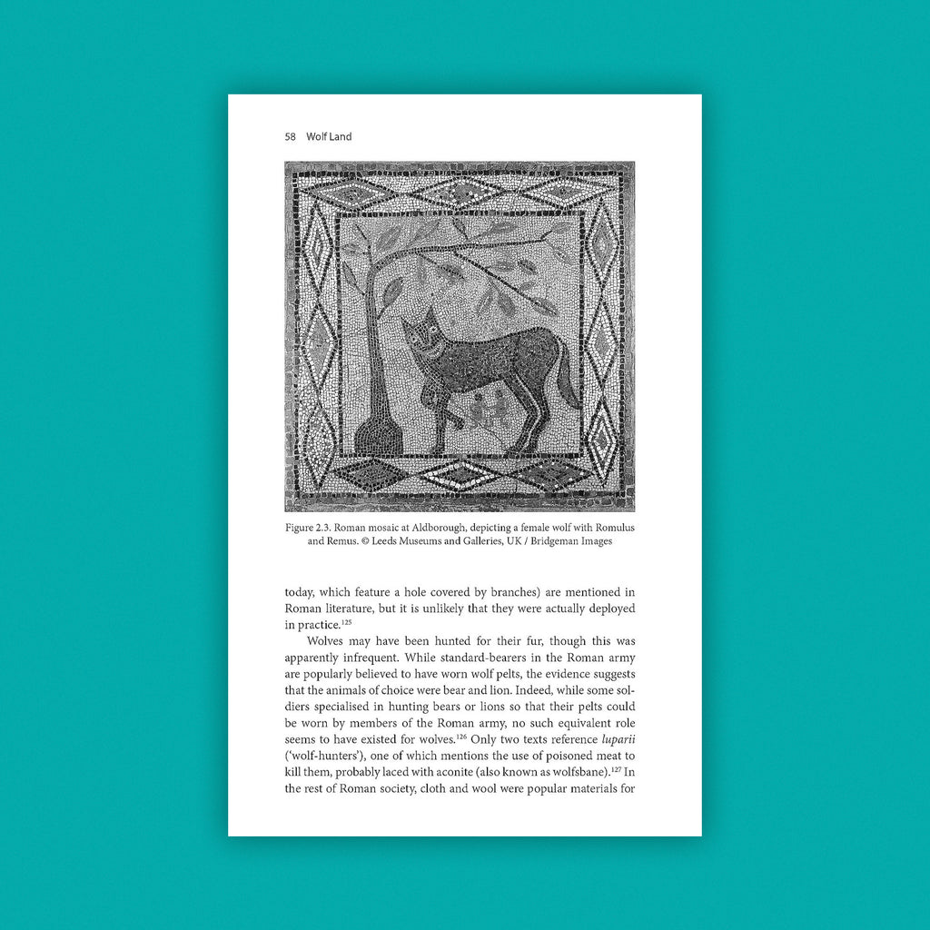 Wolf Land: The Lost Wolves of Landscape and Lore