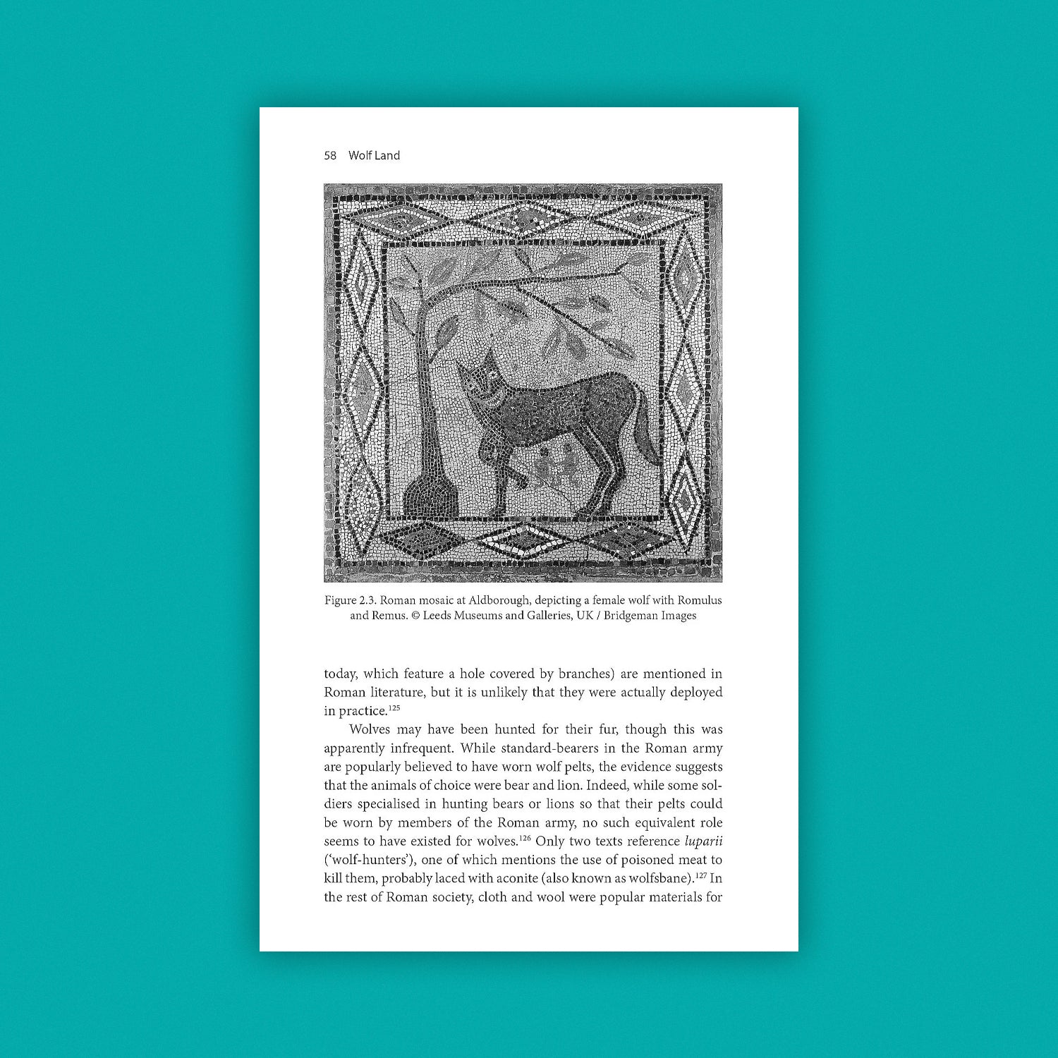 Wolf Land: The Lost Wolves of Landscape and Lore